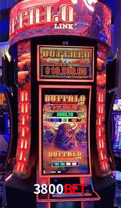 3800bet